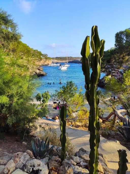 Tranquilo Apartamento Con Vistas Al Mar. ポルト・ダルクディア エクステリア 写真