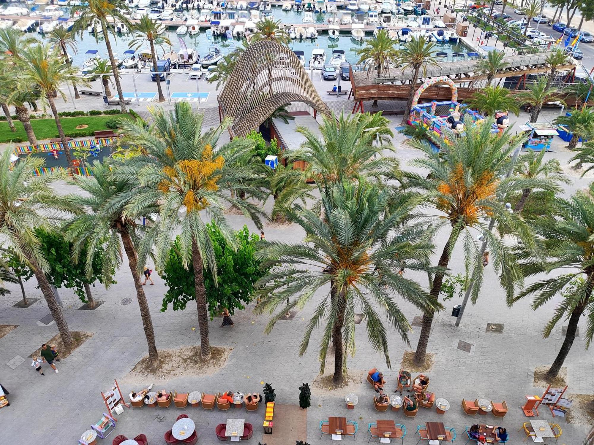 Tranquilo Apartamento Con Vistas Al Mar. ポルト・ダルクディア エクステリア 写真