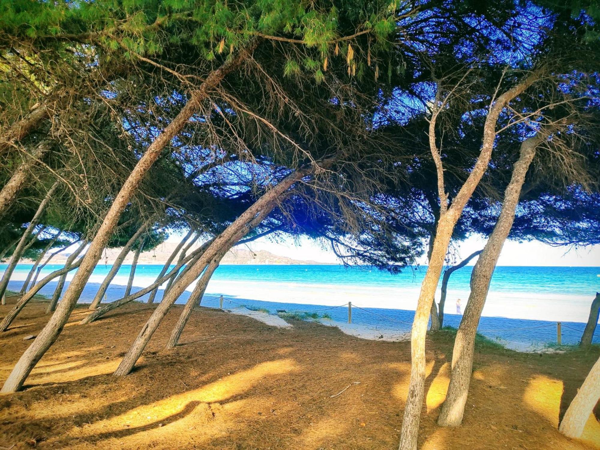 Tranquilo Apartamento Con Vistas Al Mar. ポルト・ダルクディア エクステリア 写真